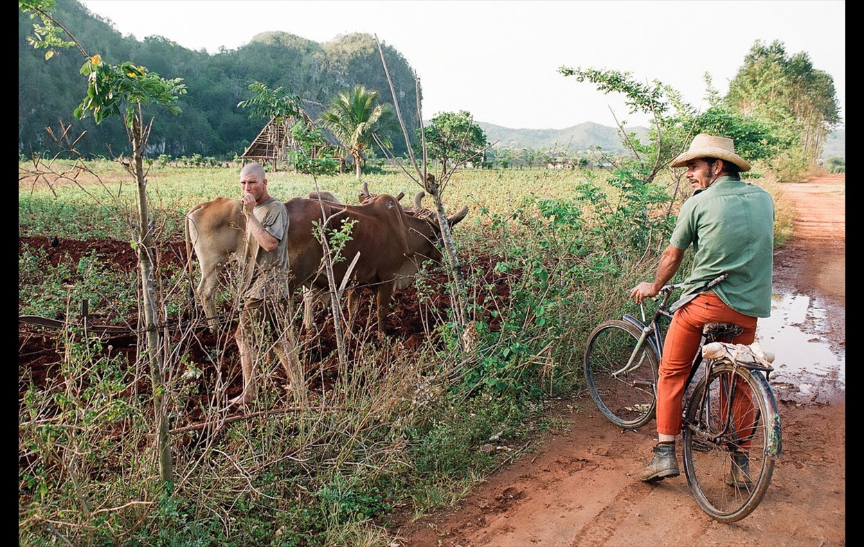 Cuba