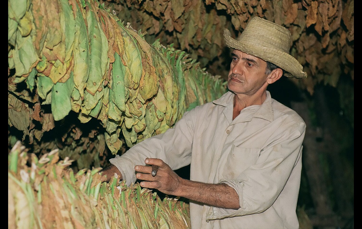 Cuba
