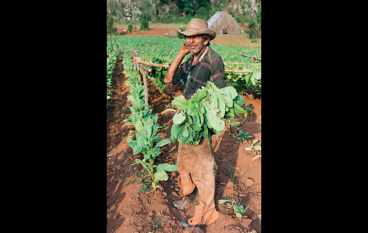 Cuba