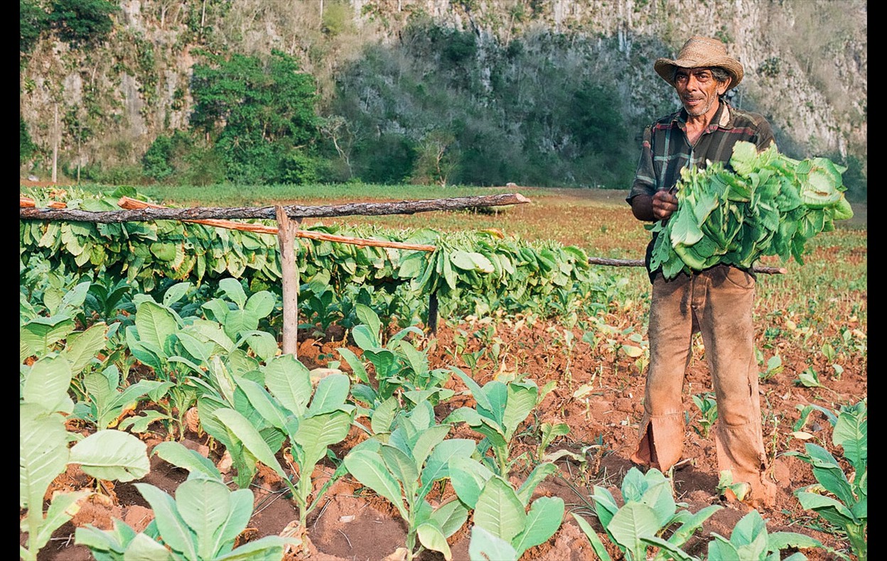 Cuba