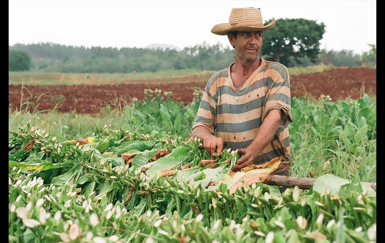 Cuba