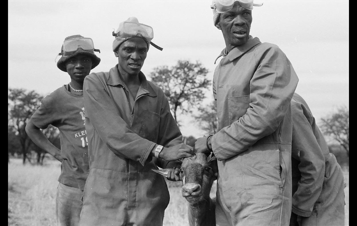 Zimbabwe