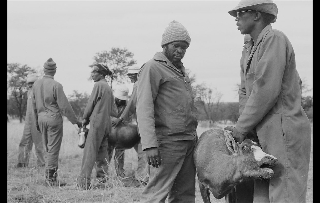 Zimbabwe