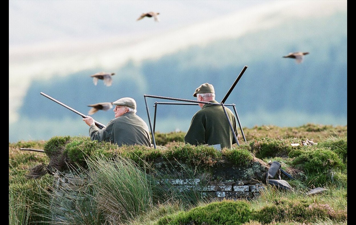 Grouse Shoot