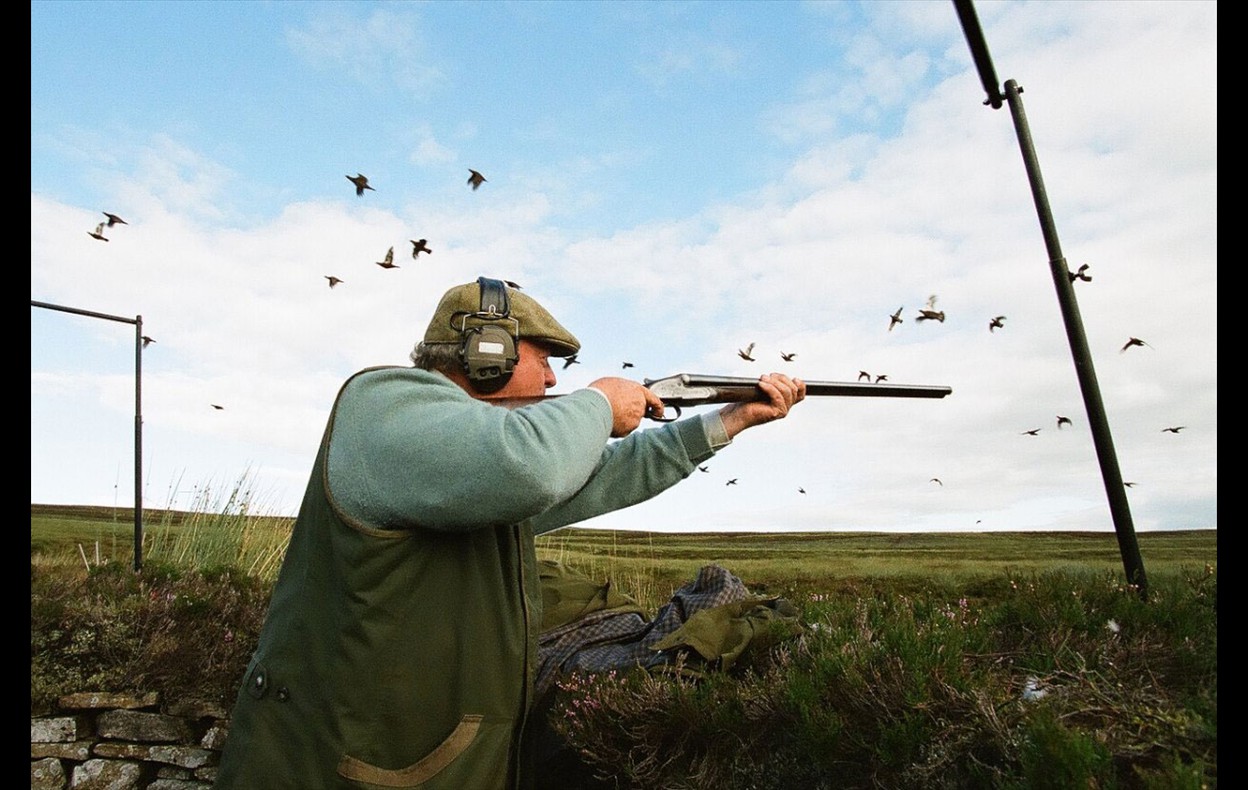 Grouse Shoot
