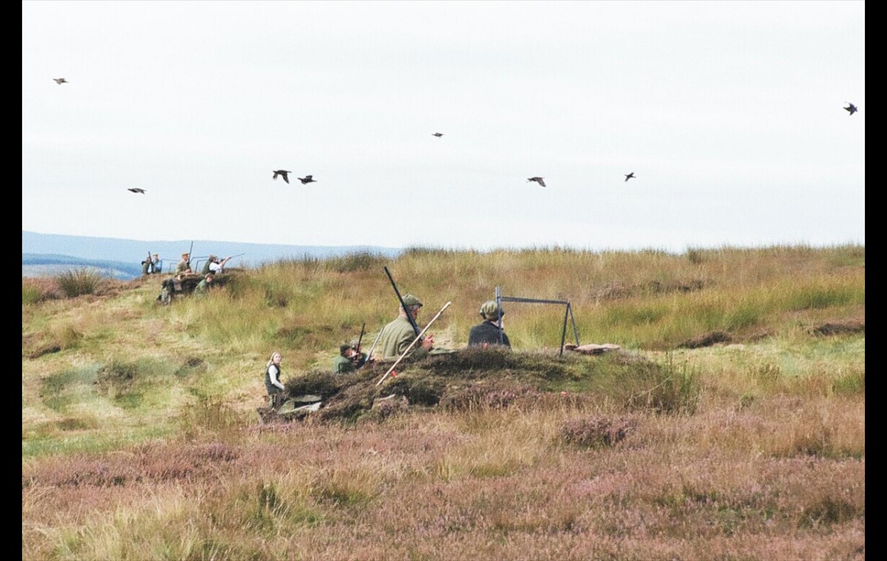 Grouse Shoot