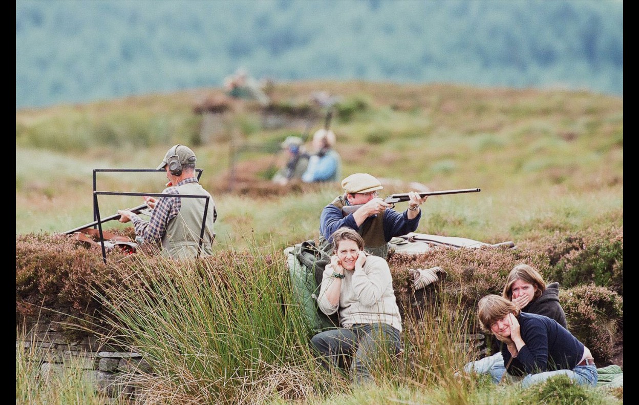 Grouse Shoot
