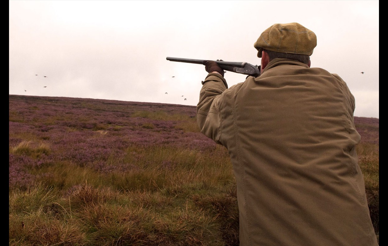 Grouse Shoot