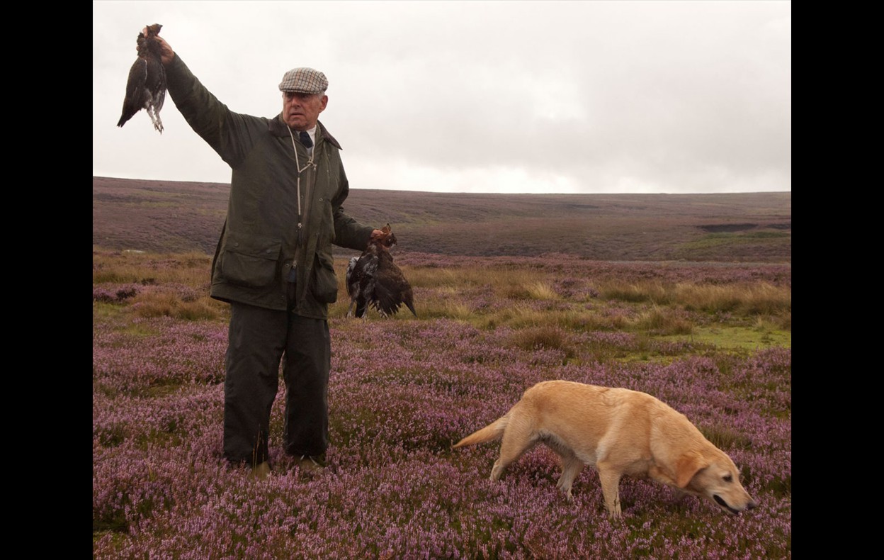 Grouse Shoot