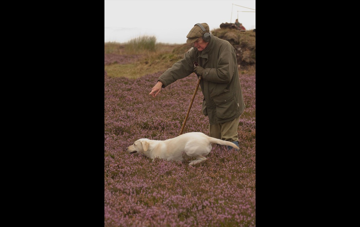 Grouse Shoot
