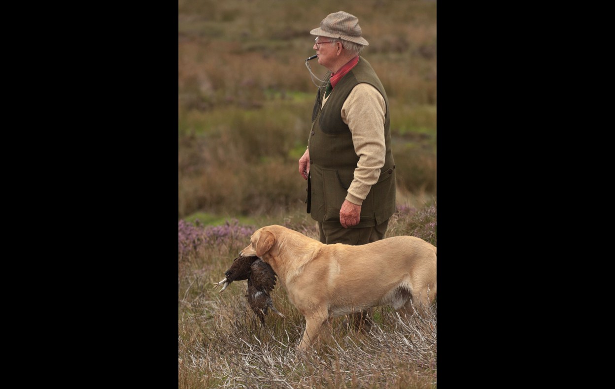 Grouse Shoot