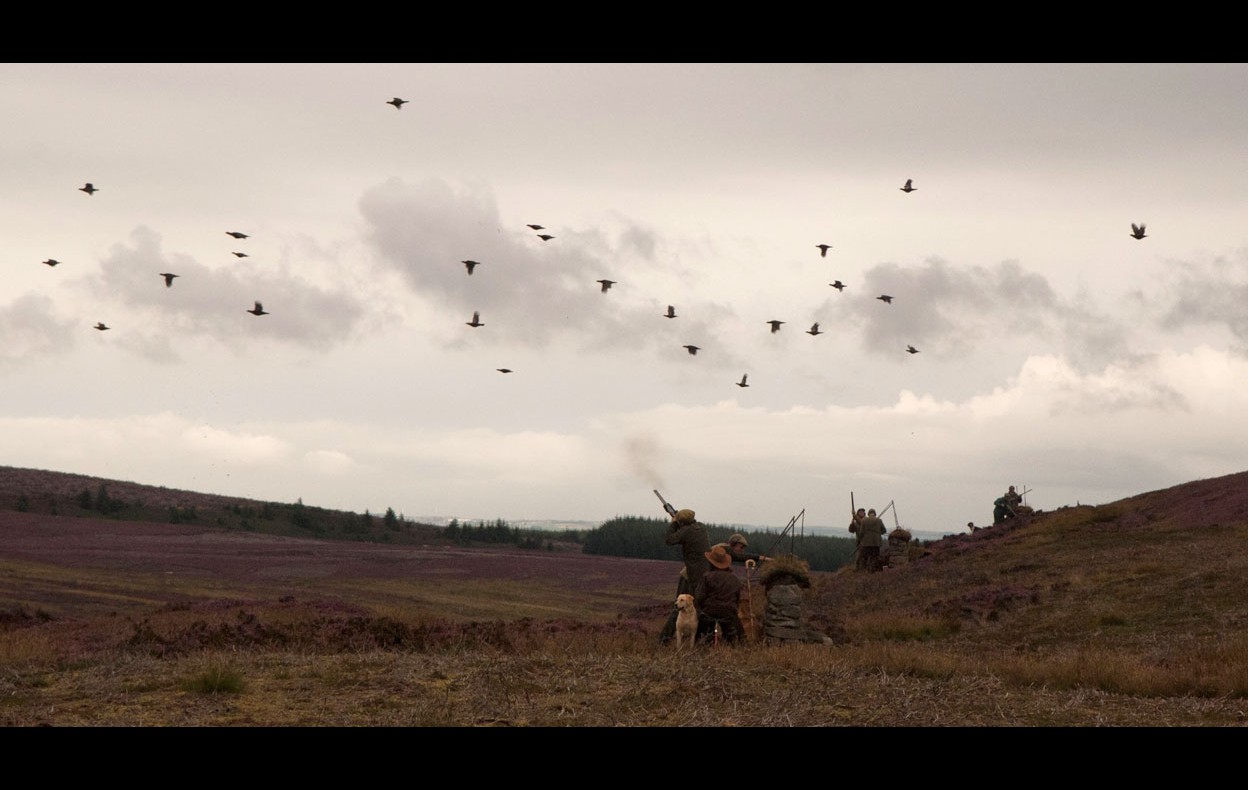 Grouse Shoot