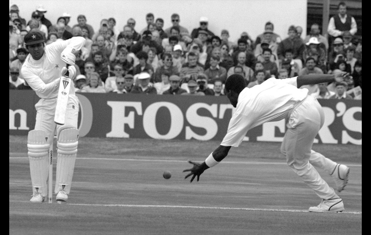 Cricket