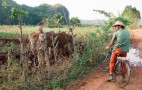 Cuba