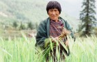 Bhutan