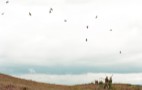 Grouse Shoot