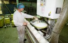 Allied Bakers