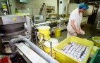 Allied Bakers