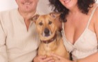 Pets & Animals