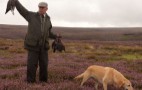 Grouse Shoot