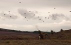 Grouse Shoot