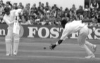 Cricket