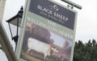 Wellington Heifer