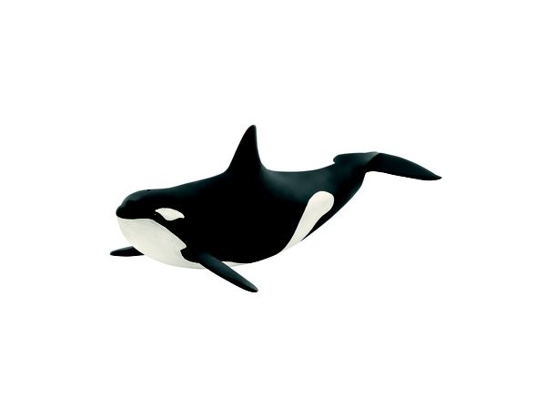 Schleich Killer Whale Wild Life