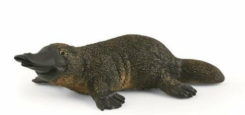 Schleich Platypus Schleich