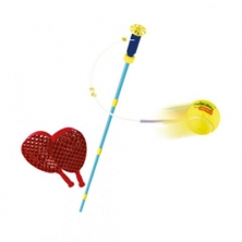 Swingball