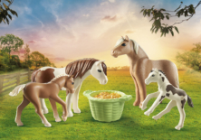 Playmobil Icelandic Ponies with Foals 71000
