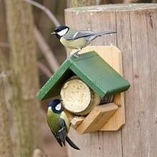 CJ Wildlife Dublin Peanut Butter Feeder Set