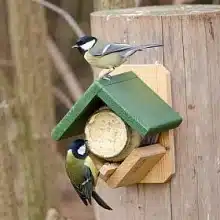 CJ Wildlife Dublin Peanut Butter Feeder Set