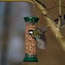 CJ Wildlife Kensington Peanut Feeder