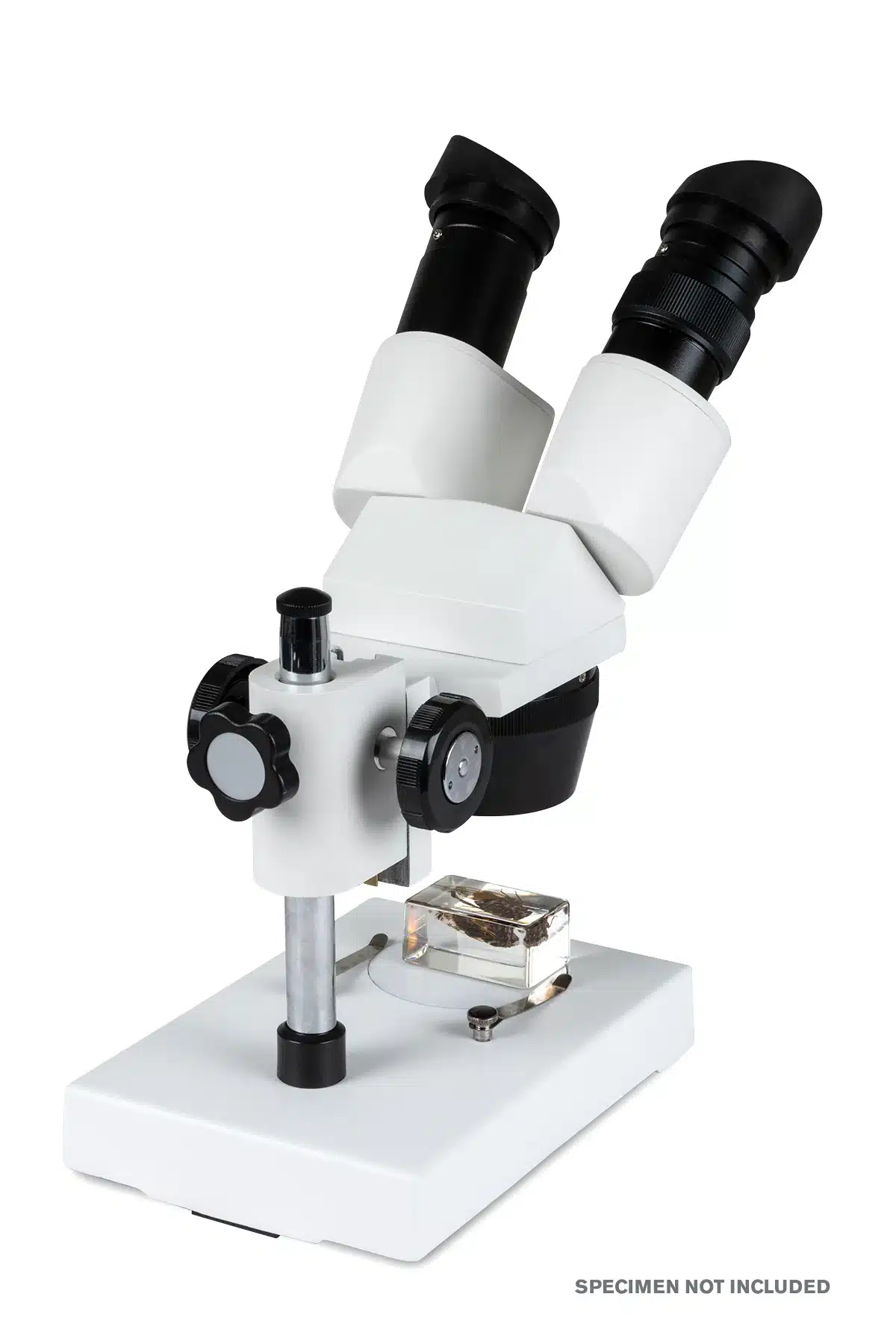 44138_Celestron_Labs_S1030N_Stereo_Microscope_03