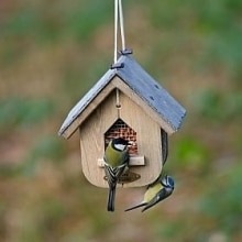 CJ Wildlife Jupiter Peanut Feeder