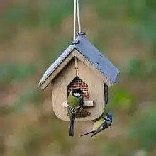 CJ Wildlife Jupiter Peanut Feeder