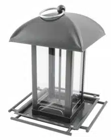CJ Wildlife Salzburg Seed Feeder-Square