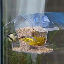 CJ Wildlife Crete Window Feeding House