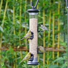CJ Wildlife Apollo Seed Feeder 5 Port Garden Wildlife Grovers