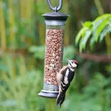 Feeders For Birds and Mammals