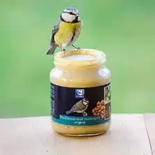 Foods for Birds and Small Mammals