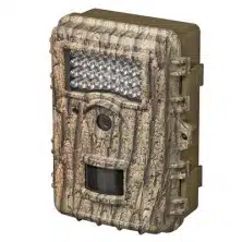 Nature Cameras