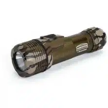 Torches