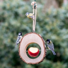Columbus Apple Feeder