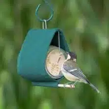 Malibu Peanut Butter Jar Holder Bird Feeder Green