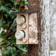 Quebec Double Peanut Butter Bird Feeder