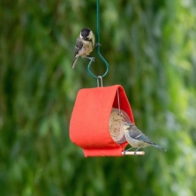 Malibu Peanut Butter Jar Holder Bird Feeder Orange