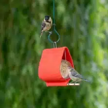 Malibu Peanut Butter Jar Holder Bird Feeder Orange