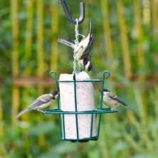 Metal Peanut Cake Tube Feeder